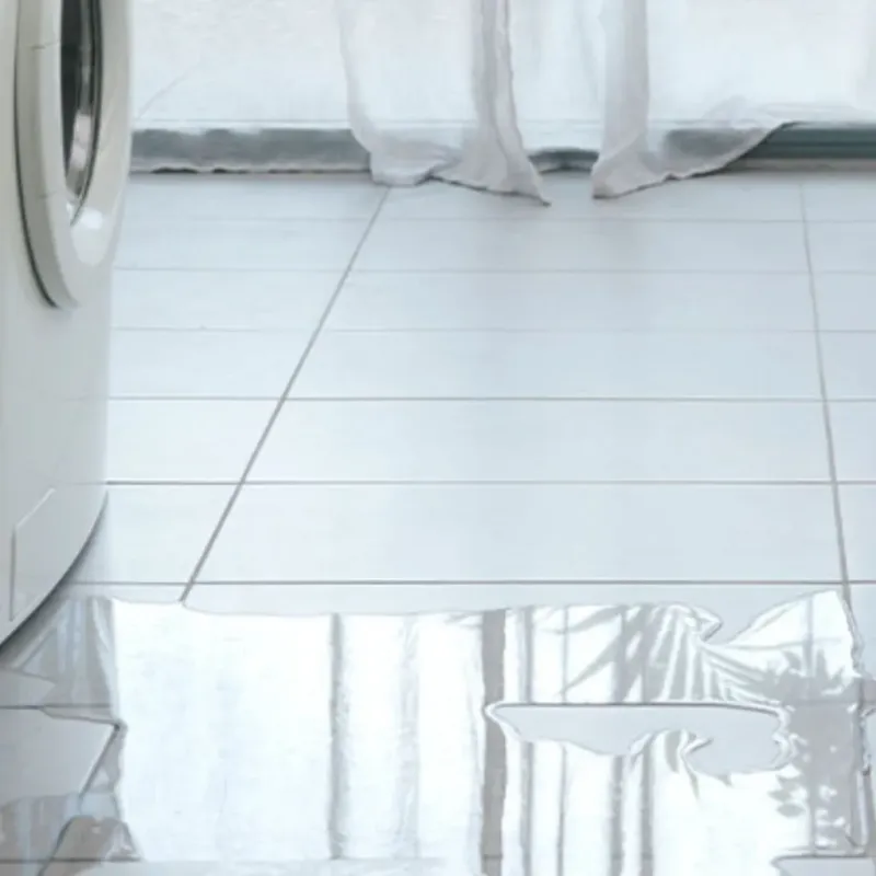 Appliance Leak Cleanup in Marissa, IL