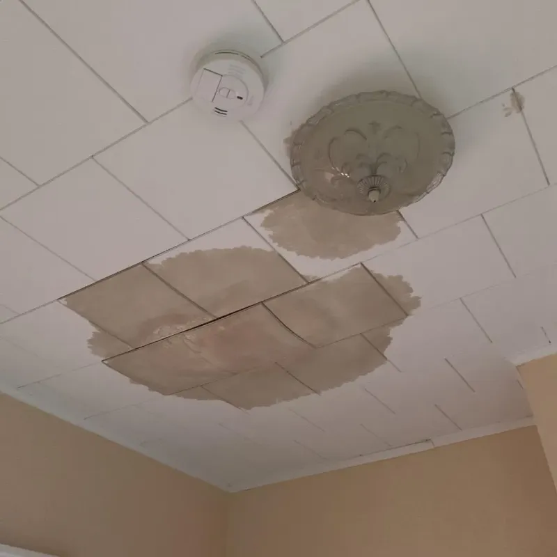 Ceiling Water Damage Repair in Marissa, IL