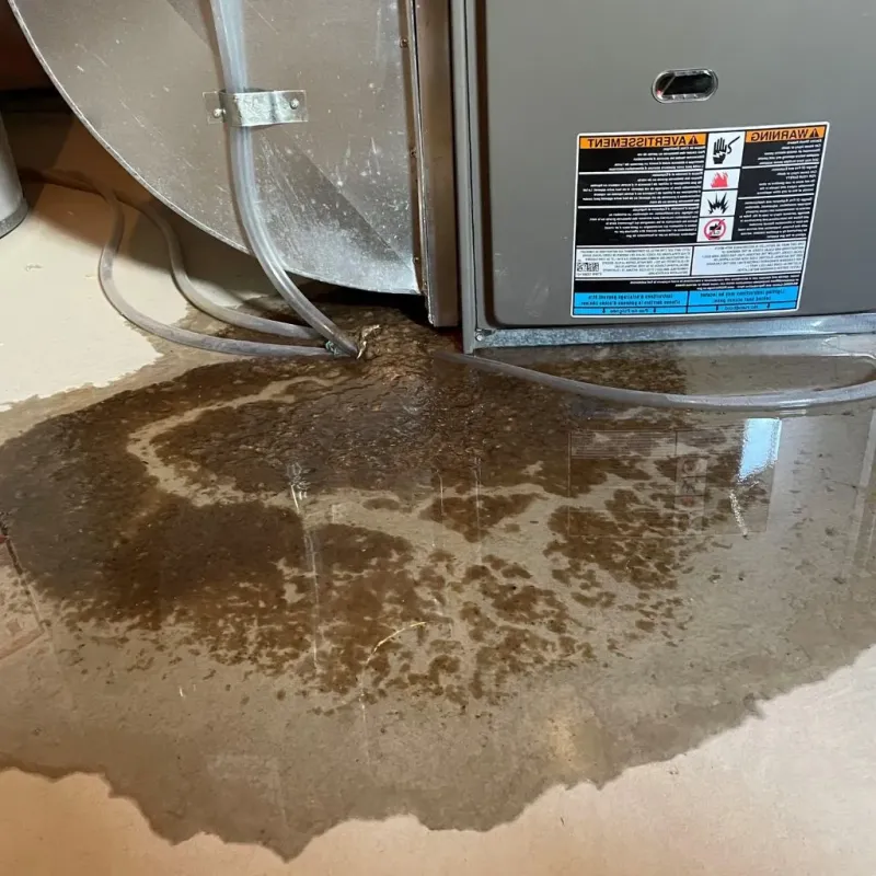 Pipe Burst and Leak Restoration in Marissa, IL