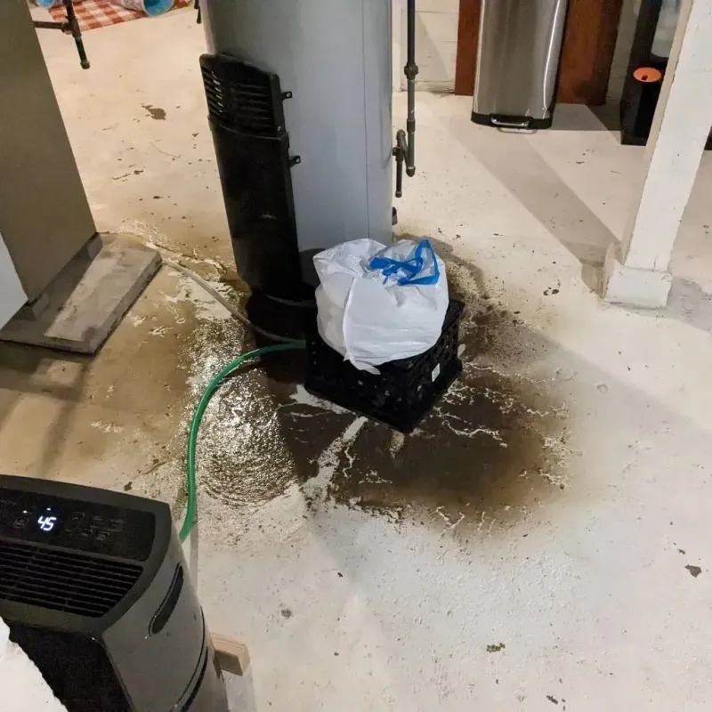 Sewage Backup Cleanup Service in Marissa, IL